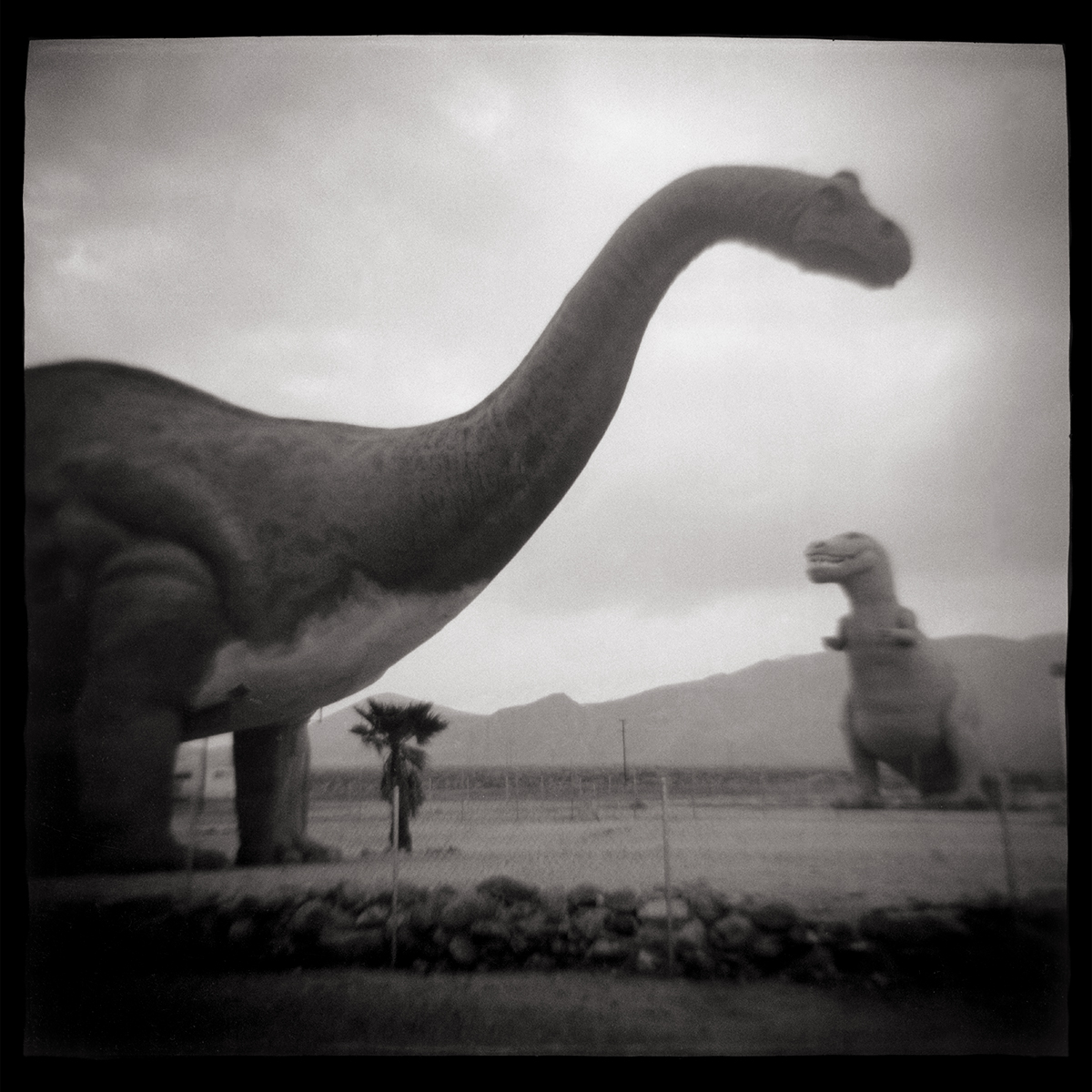 Classic Dinosaurs Roadside Attraction in Southern Califronia